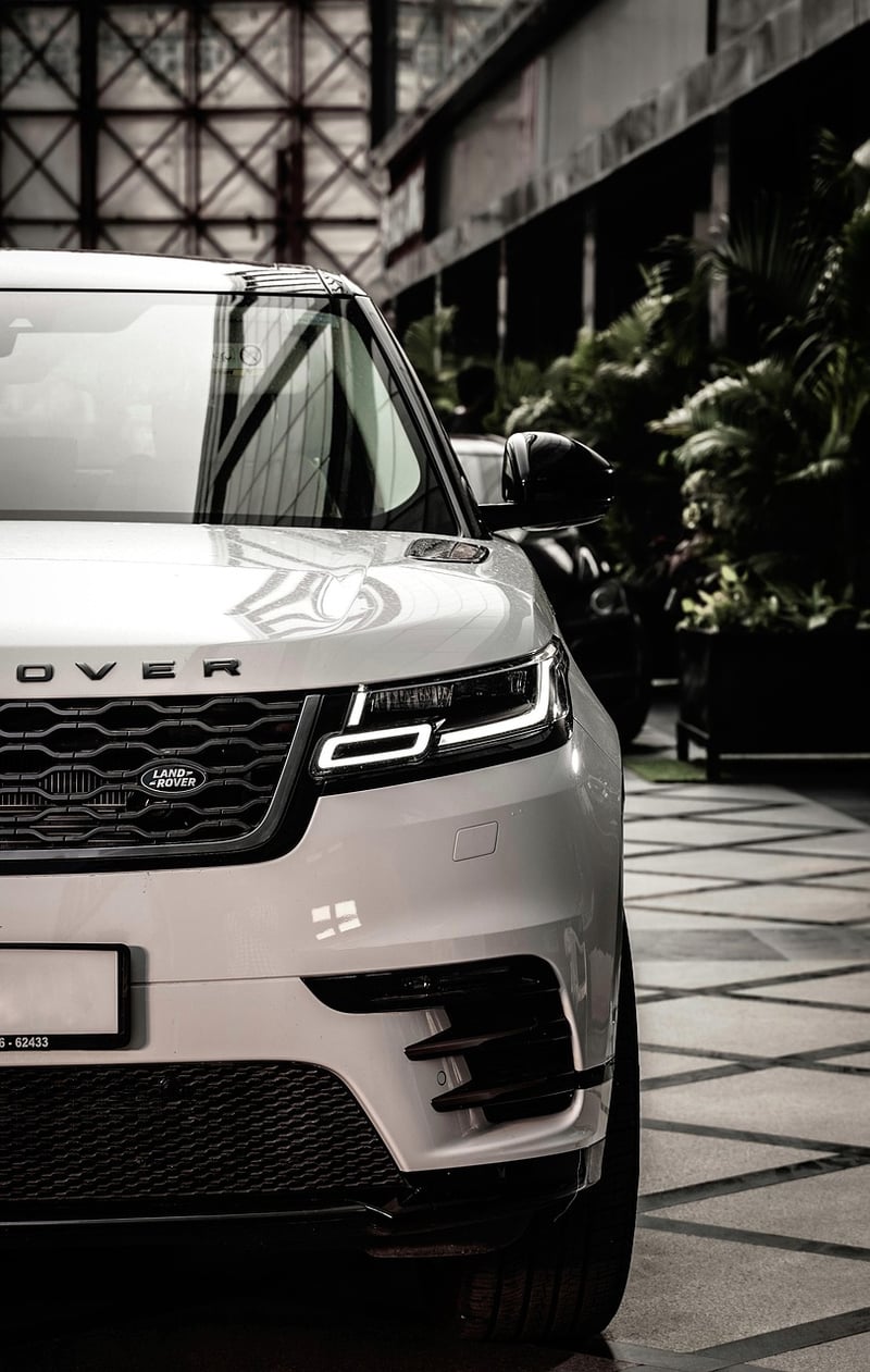 Rovers