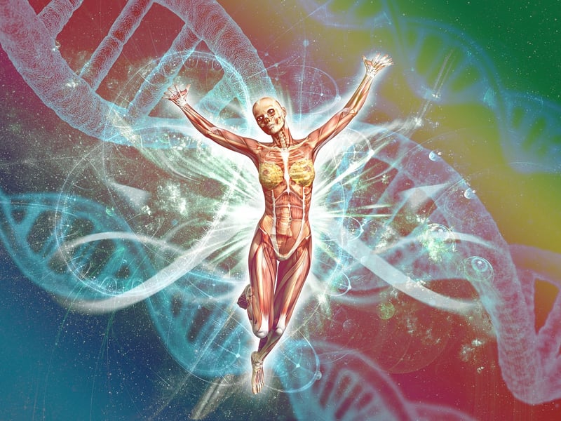 DNA Structure